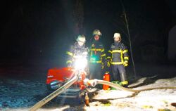 Die Einsatzkräfte pumpten in der Nacht zum Donnerstag über eine Strecke von drei Kilometern Wasser zu den Tieren.