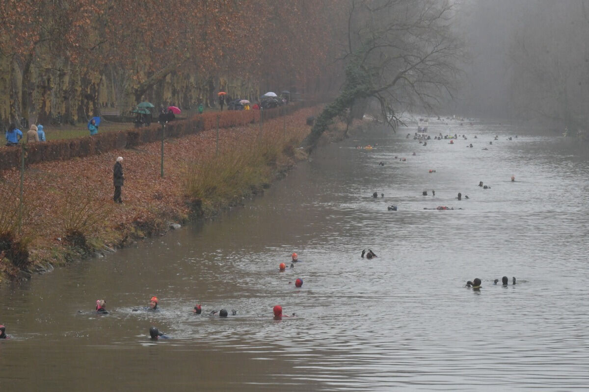 neckarabschwimmen_tuebingen_2019_meyer_22