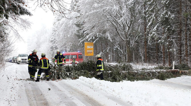 Schneebruch: Die Feuerwehr musste bei Engstingen Bäume beseitigen.