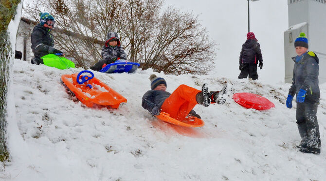 Spaß am Schlittenbuckel in Engstingen.