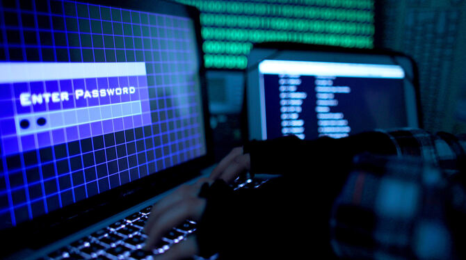 Der Teufel ist ein E-Eichhörnchen und die digitale Welt eine unsichere – Cyber-Kriminalität sorgt dafür. FOTOS: DPA/NIETHAMMER