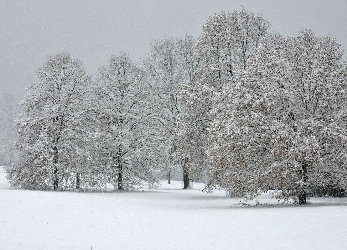 winter_januar2019_niethammer_17