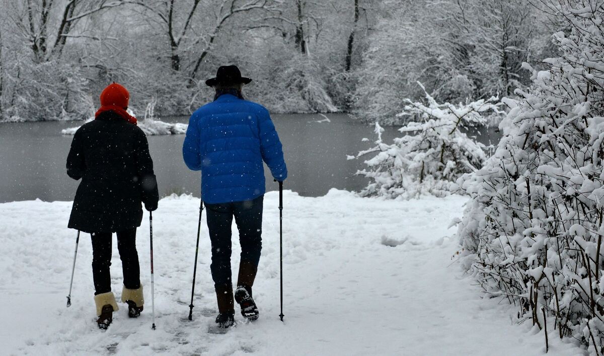 winter_januar2019_niethammer_20