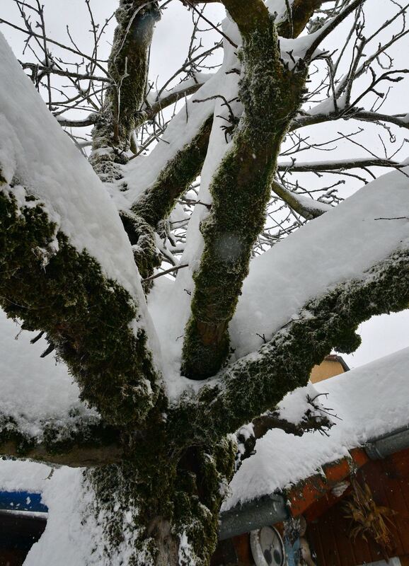 winter_januar2019_niethammer_9