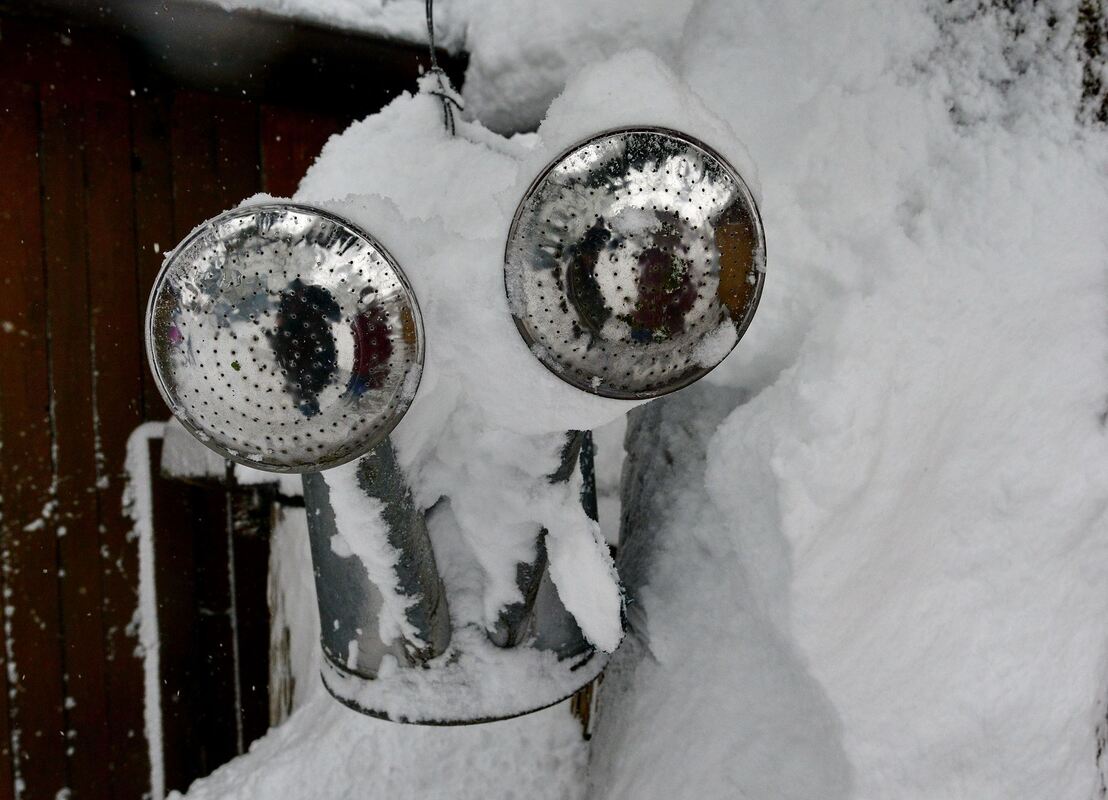 winter_januar2019_niethammer_10