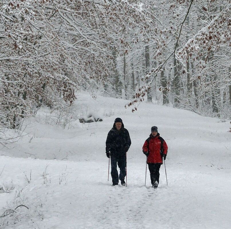 winter_januar2019_niethammer_12