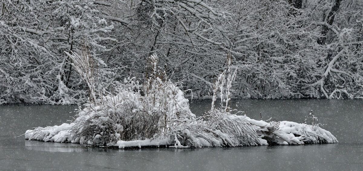 winter_januar2019_niethammer_14