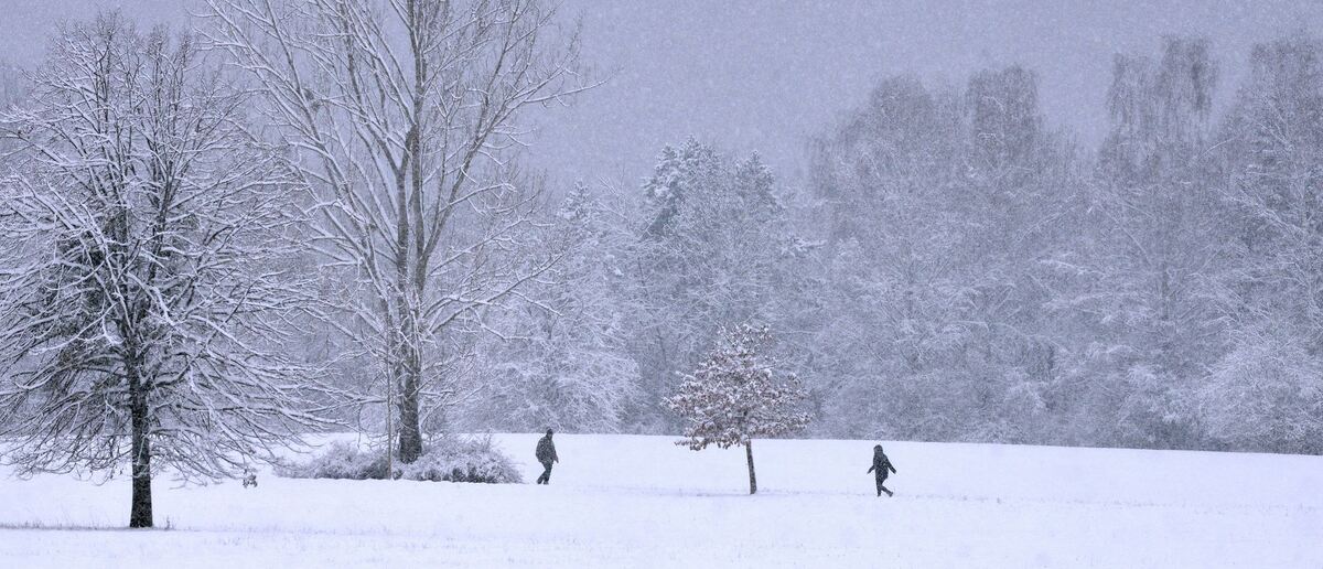 winter_januar2019_niethammer_15