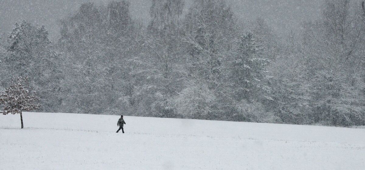 winter_januar2019_niethammer_16