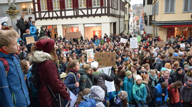 Schule schwänzen für eine andere Klimapolitik? In Tübingen folgten viele dem Beispiel der Schwedin Greta Thunberg.  FOTO: -KREIB