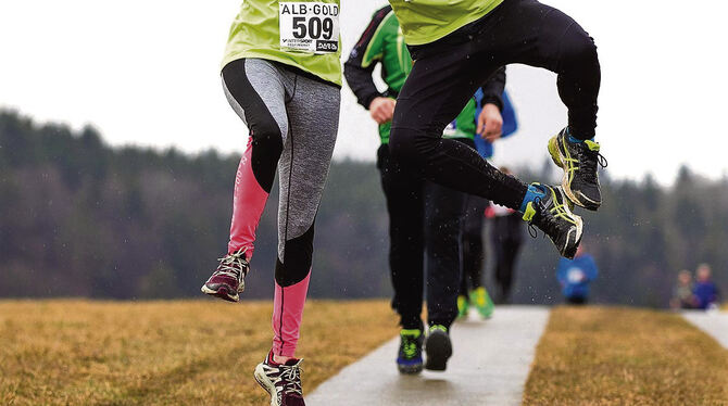 Der Spaß soll für die Läufer beim Winterlauf in Pliezhausen- Gniebel nicht zu kurz kommen. FOTO: PR