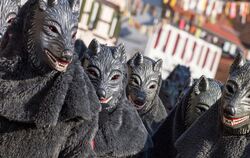 Hui, die Wölfe sind los! Ihren großen Auftritt haben sie beim Dämmerungsumzug am Samstag.