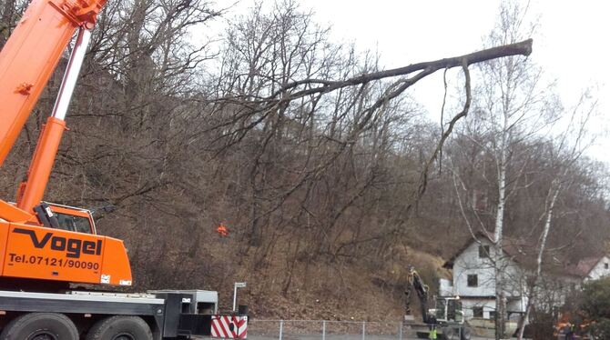 Verkehrssicherungsarbeiten am Mühlweg. FOTO: NEUBAUER Verkehrssicherungsarbeiten am Mühlweg. FOTO: NEUBAUER