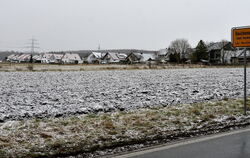 Dieses Potenzial-Bauland am nördlichen Saum Reichenecks sorgt schon seit geraumer Zeit für kontroverse Diskussionen. FOTO: NIETH