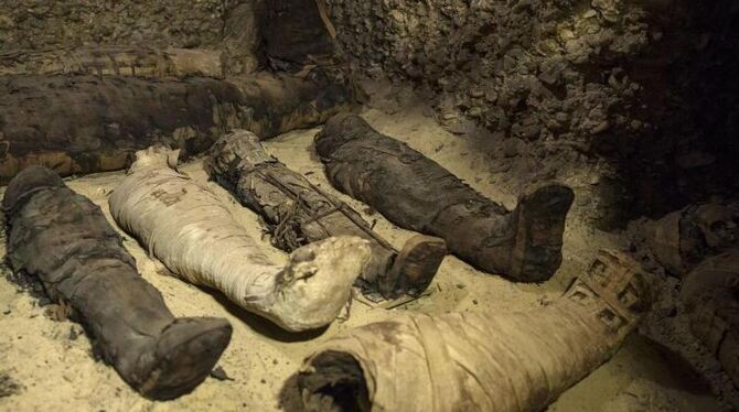 Grabkammer mit 40 Mumien