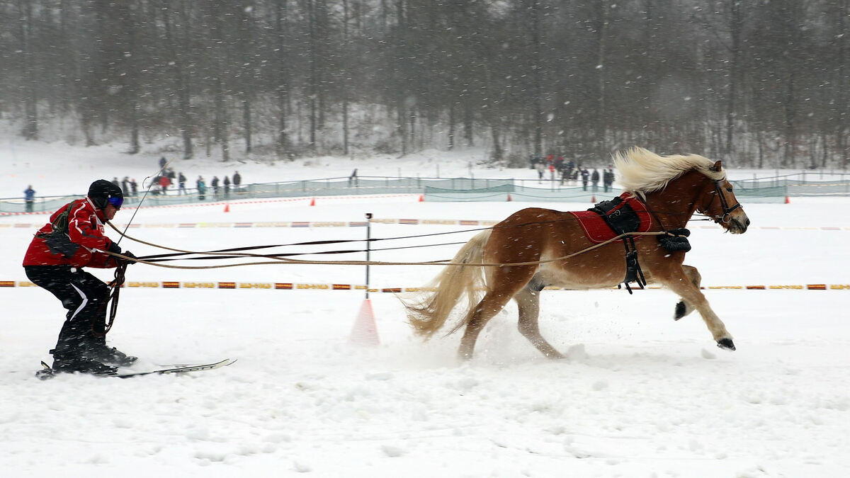 skijoering_trochtelfingen_2018_baier_20
