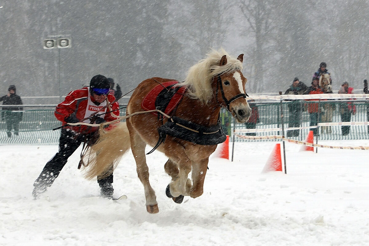 skijoering_trochtelfingen_2018_baier_21