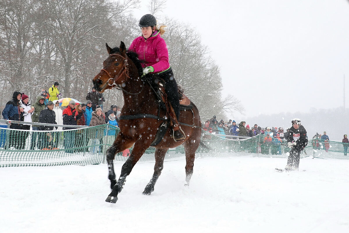 skijoering_trochtelfingen_2018_baier_22