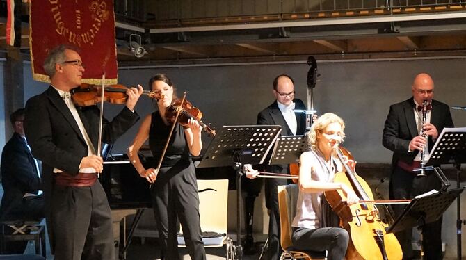 Das Süddeutsche Salonorchester umrahmte die Feier zum 125-Jahr-Jubiläum des TSV Kusterdingen. FOTO: STRAUB