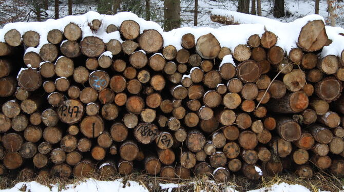 Wer bringt künftig für wen das Brennholz auf den Markt?  FOTO: MERKLE