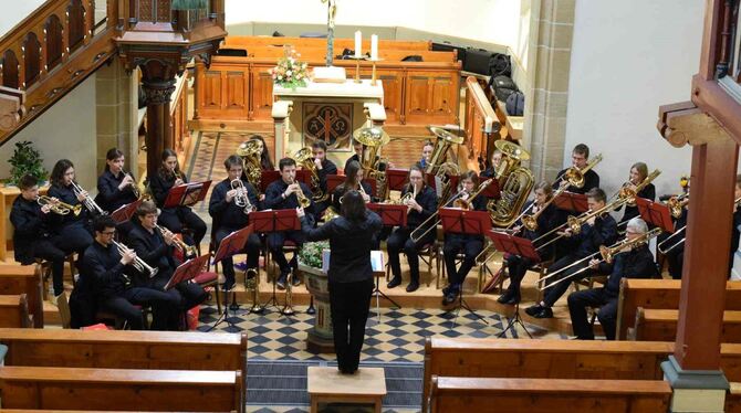 Bei so einem Konzert sind Konzentration und Können gefragt, dann wird Kunst draus. Der Posaunenchor Böhringen in Aktion. FOTO: P