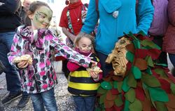 zwiefalten_fasnet_warnack_17-02-2019_4