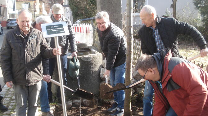 Bad Urachs Bürgermeister Elmar Rebmann (Mitte) pflanzt zusammen mit Vorstands- und Ausschussmitgliedern des Obst- und Gartenbauv