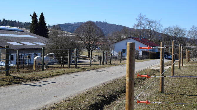 Die Pferdepension auf dem Steingebronner Ochsenberg will erweitern. FOTO: OEL