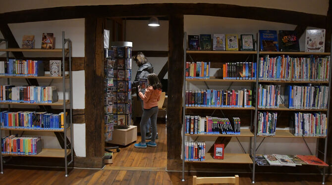 Die Ofterdinger Bücherei stillt erfolgreich die Leselust ihrer kleinen und großen Nutzer.  FOTO: MEYER