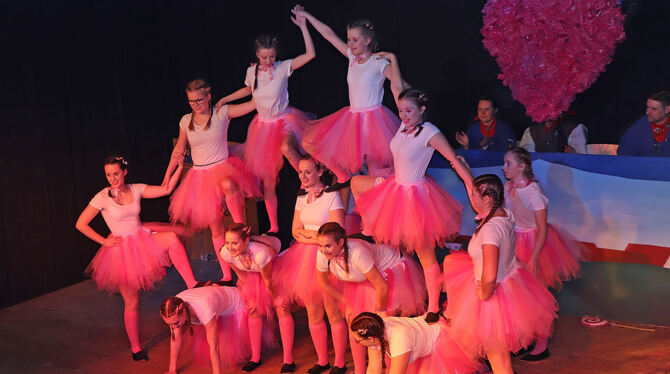 Ein Traum in Rosa beim Bürgerball: die Tanzgruppe Mixture.  FOTO: BLOCHING