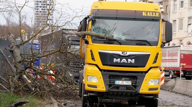 Ein Baum ist bei einem Sturm in Stuttgart auf einen Lastwagen gestürzt.