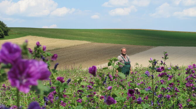 Landwirte in ganz Deutschland sollen mehr Blumen blühen lassen.  FOTO: STADTWERKE