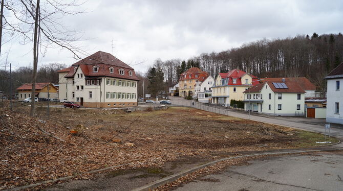 Warten auf die Stadtsanierung im Auinger Vorlager: Die Bäume sind gefällt, die weiteren Bauarbeiten sind vorerst auf Eis gelegt.