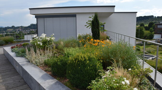 Auch ein Dachgarten kann die Lebensqualität verbessern. FOTO: GALABAU