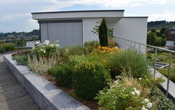 Auch ein Dachgarten kann die Lebensqualität verbessern. FOTO: GALABAU 