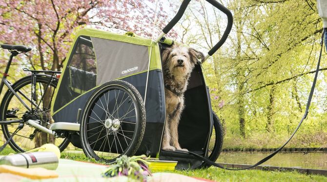 Hundehütte auf Rädern: Ein Kölner Hersteller bietet einen Anhänger speziell für die Bedürfnisse des geliebten Vierbeiners an. FO