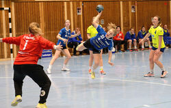 Erzielte vier Tore für den VfL Pfullingen: Anni Wörner (mit Ball).  FOTO: PIETH