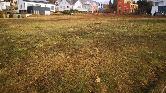 Hier Gewerbegebiet, dort Wohngebiet: Auf der Freifläche im Betzenried der August-Lämmle- Straße darf ein Unternehmer bauen, zum