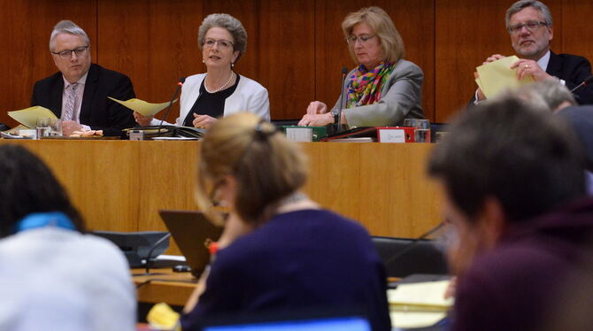 Gewohnt professionell führte OB Barbara Bosch (Zweite von links) durch ihre letzte Gemeinderatssitzung. FOTO: NIETHAMMER
