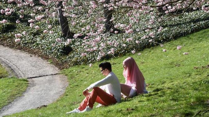 Frühling in Kassel Frühling in Kassel