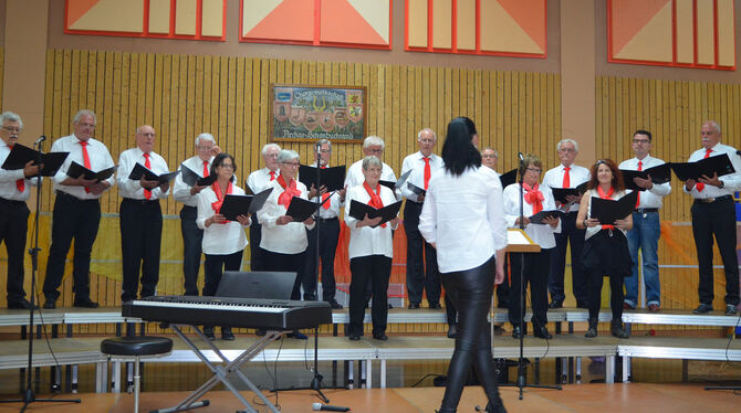 Die »Harmonie Pliezhausen« in der Riedericher Gutenberghalle.  FOTO: SANDER