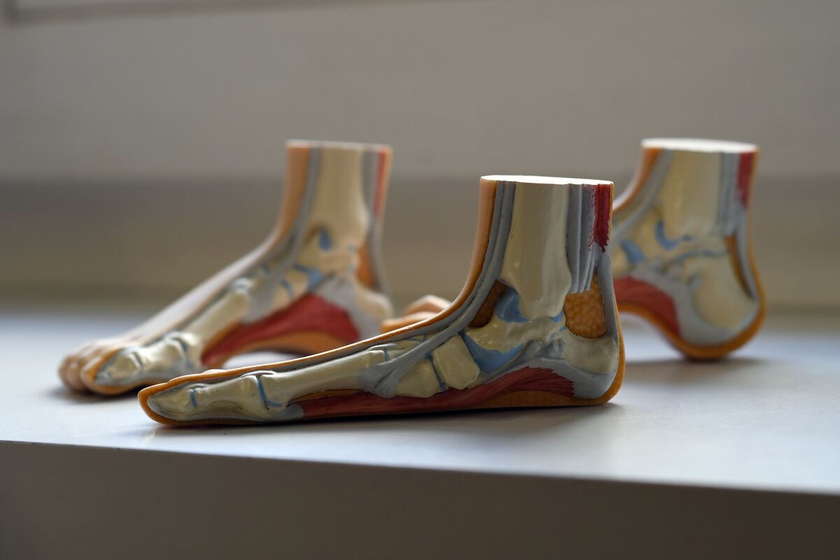 Auf dem Fensterbrett stehen bei Stanekers Modelle von Füßen mit Problemen.