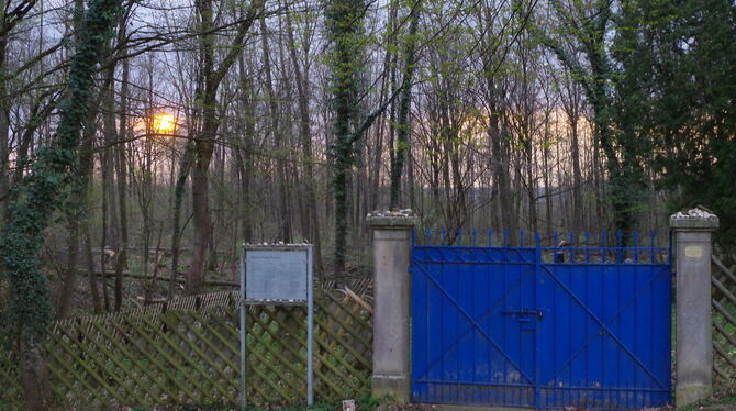 Im Wald gelegen: Der Eingang zum jüdischen Friedhof in Wankheim. FOTOS: JOCHEN