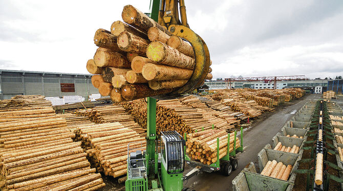 40-Tonnen-Bagger mit Anhänger auf dem Holzplatz von Schwörer in Hohenstein-Oberstetten. FOTO: SCHWÖRER HAUS