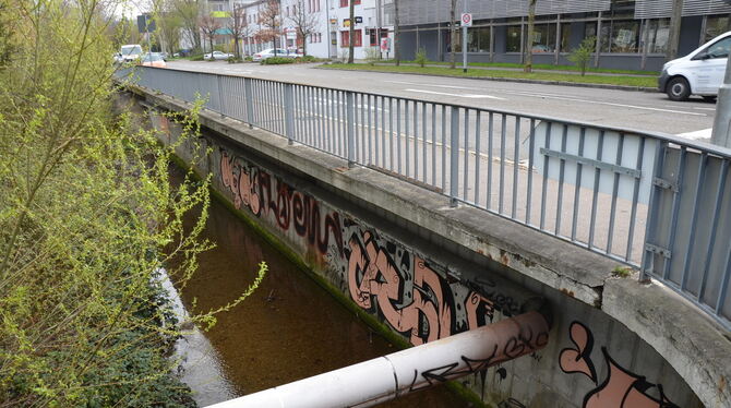 Die Stützmauer am Arbach in der Arbachstraße muss saniert werden. Dafür hat der Gemeinderat jetzt den Auftrag erteilt.  FOTO: SA