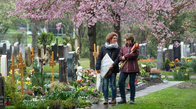 Auch ein Ort der Trauer ist ein Ort der Begegnung. Vor allem dann, wenn wie auf dem Gönninger Friedhof Blumen und Bäume blühen.