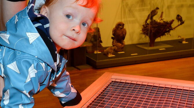 Gespannte Blicke auf das muntere Treiben in der Laufarena. FOTOS: NIETHAMMER