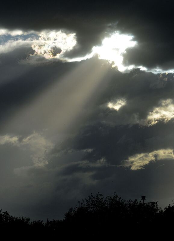 sport-2504-31ssv-niethammer