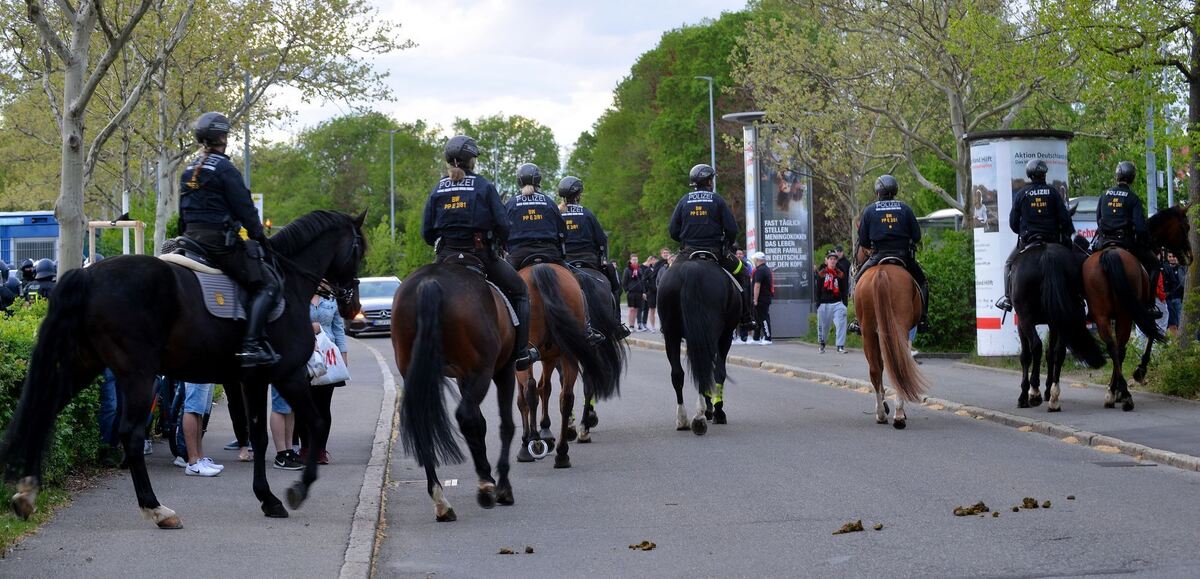 sport-2504-20ssv-niethammer