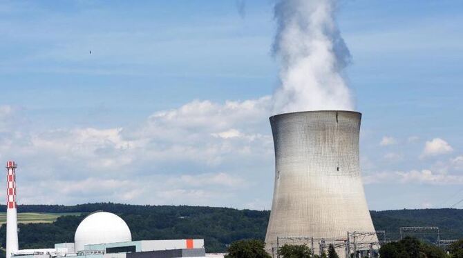 Schweizer Kernkraftwerk Leibstadt